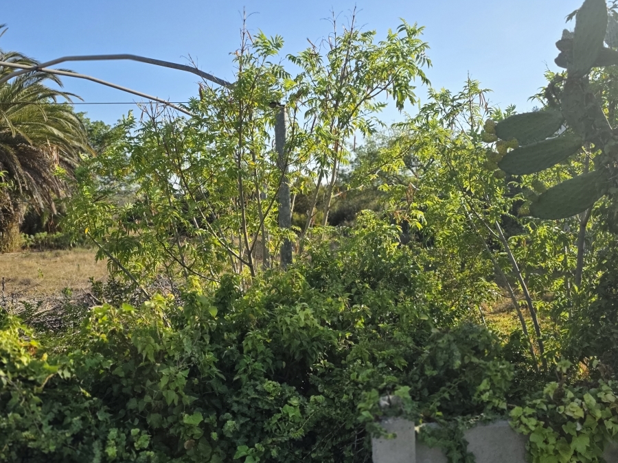 0 Bedroom Property for Sale in Wavecrest Eastern Cape